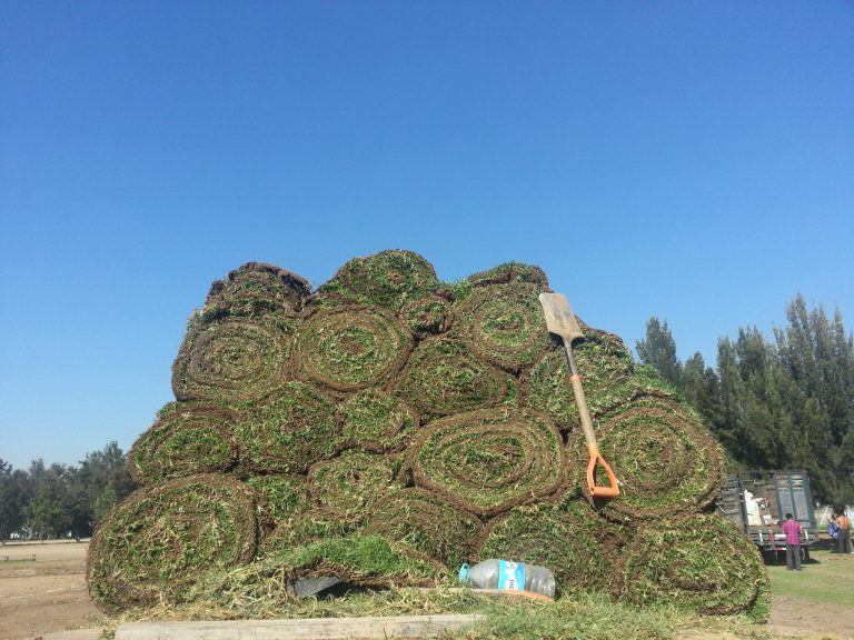 10818413_496491980527665_4287800161957611704_o