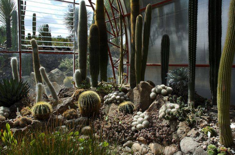 10984617_486056781571185_4582893439963763580_n