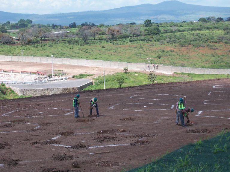 11146112_496485183861678_1154238047232513179_o