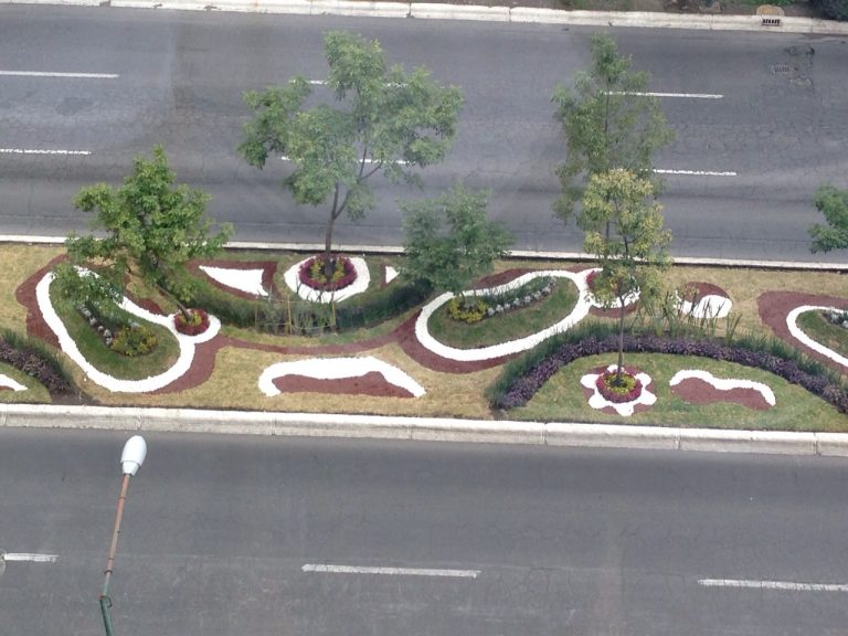 11334138_485174654992731_3407069782108121142_o