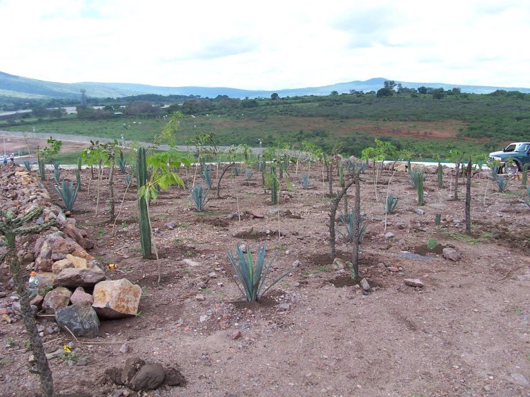 11717572_496485363861660_5888031818482213956_o