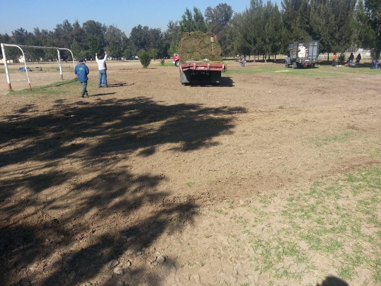 11741011_496491920527671_6107686566979311987_o