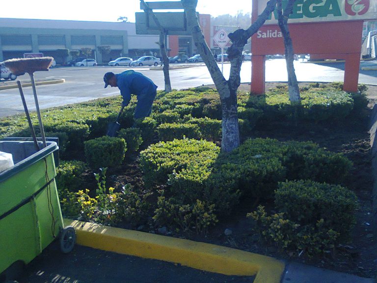 11779855_496493577194172_4818721039557778588_o