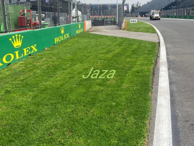 313907491_537280328407590_9091847123107649979_n